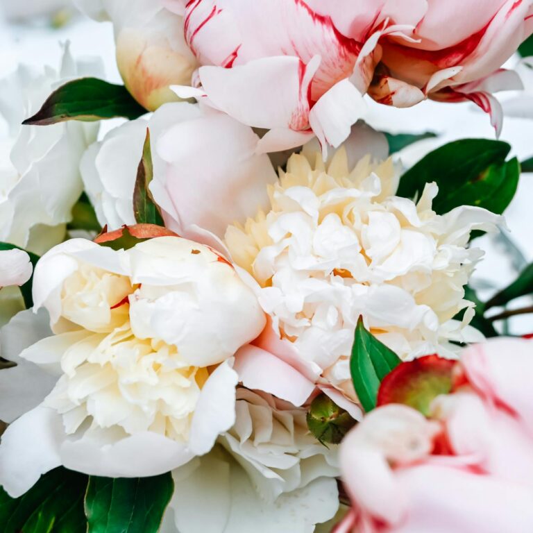 pexels studio naae 15863863 14416299